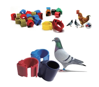 Cheapest Price Animal Tag Pigeon Rings