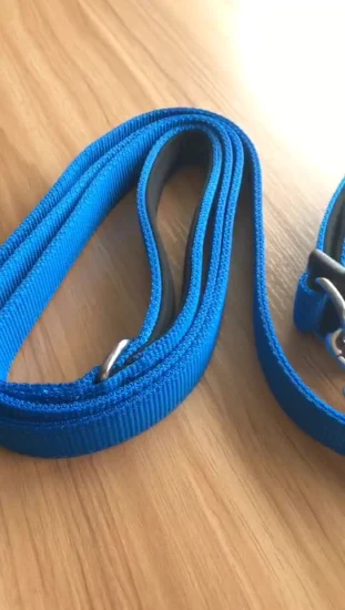 ISO Approved Factory Offered Heavy Duty Collar Leash Sets for Large Dogs with Two D-Rings